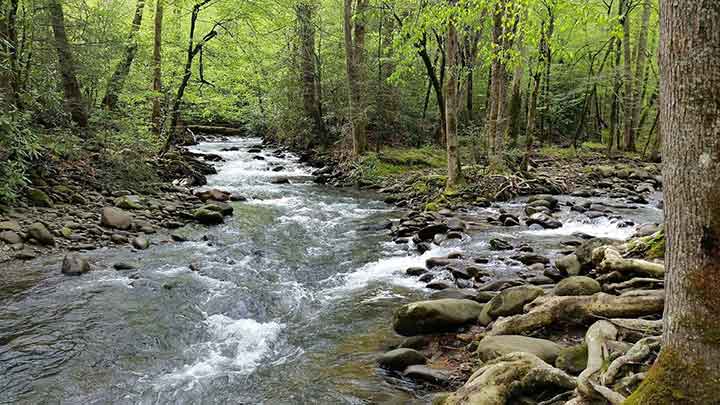 Things To Do https://heavenscabins.icnd-cdn.com/images/thingstodo/4B094731gatlinburg-trail1.jpg
