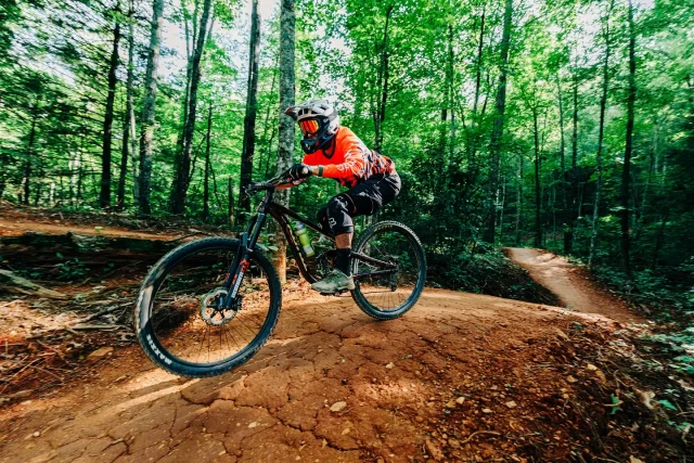 Things To Do https://heavenscabins.icnd-cdn.com/images/thingstodo/B410B812wildside.jpg