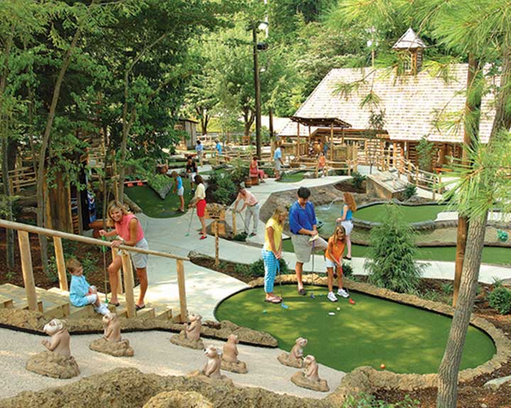 Things To Do https://heavenscabins.icnd-cdn.com/images/thingstodo/Davy-Crockett.jpg