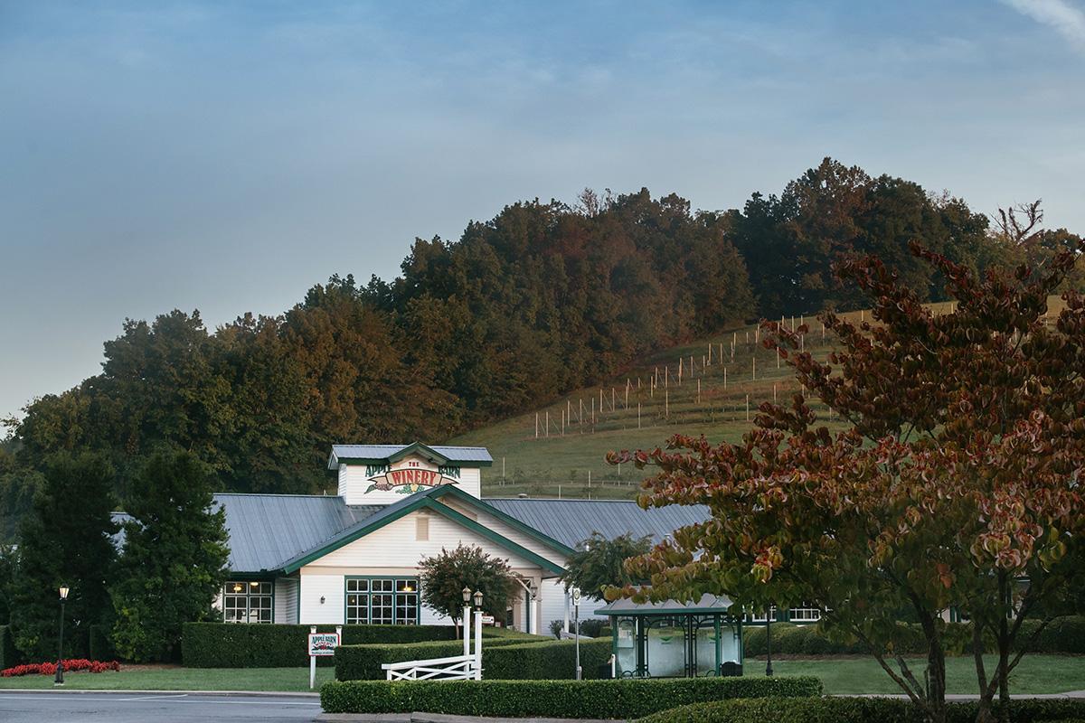 Things To Do https://heavenscabins.icnd-cdn.com/images/thingstodo/apple-barn-winery-1.jpg